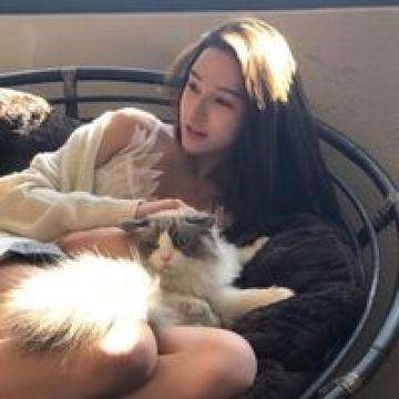 域网棋牌手机app下载